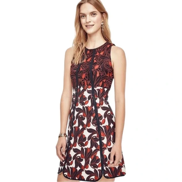 Ann Taylor | Dresses | Ann Taylor Vine Lace Jacquard Flare Dress Size |  Poshmark